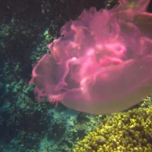 DSCN3595