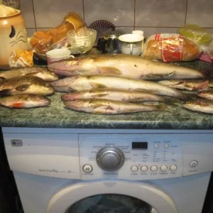 Уловчик