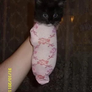 Ну как я вам?
