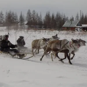 Гонки в Омолоне