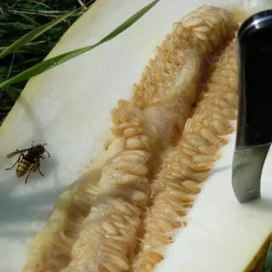 любимый нож
