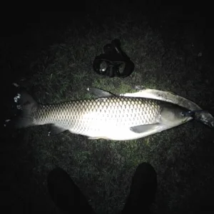20120505 014904