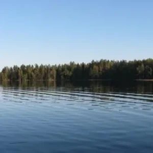 IMG 3140
