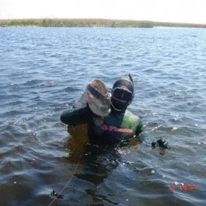 Сомик