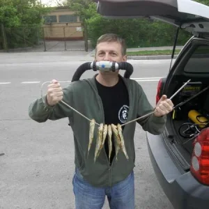 Брек)