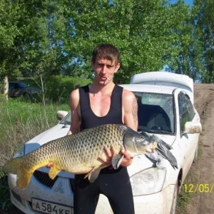 почти 15