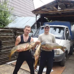 3 на 2х