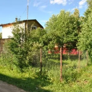 DSC 0067(1)