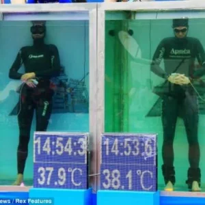 2 претендента