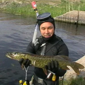 щучка 2.5 кг.