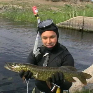 она же