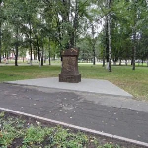 DSC00003