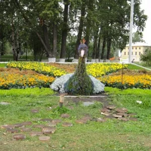 DSC00025