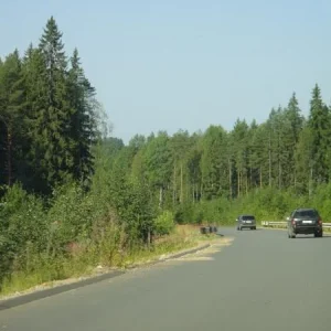 DSC00092