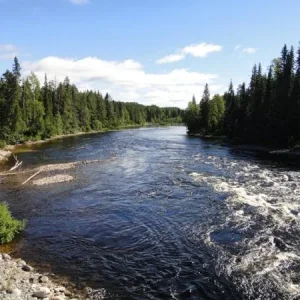 DSC00222