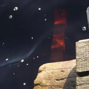 Темная вода