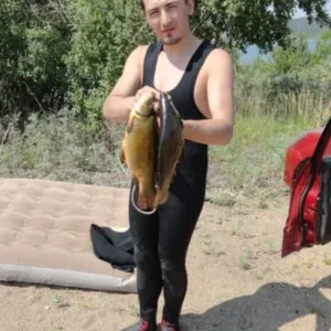 Первые лини