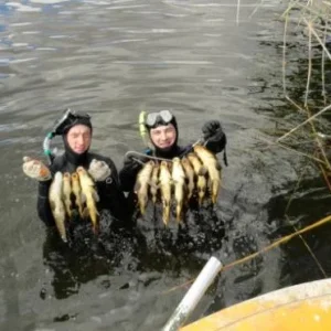 за полчаса