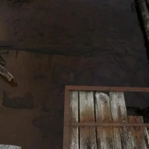 Снова темная чистая вода