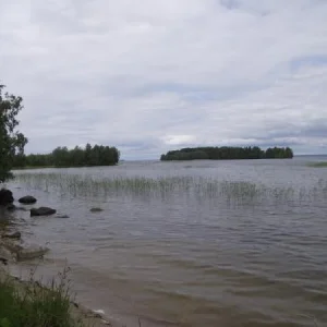 Онега