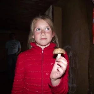 Гриб