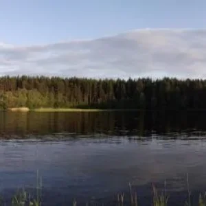Бухта