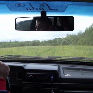 Полем