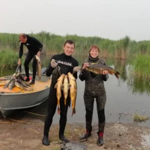 совместный заплыв