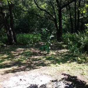 20120714 115154