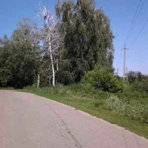 20120714 141349
