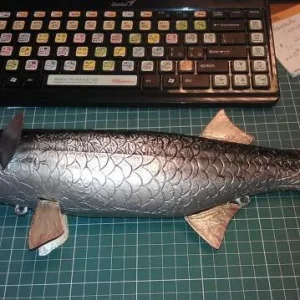 IMAG0156