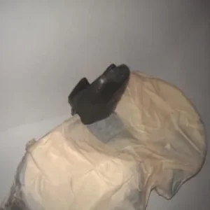 [No title]