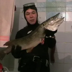 щука 4кг длина 94см. поймана в черте городана глубине 70см тоже на пляже