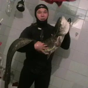 сом 16кг 1м40см. поймал вечером 29 июля 2012г., на глубине 1м50см., примерно.