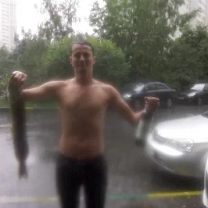 дождик2
