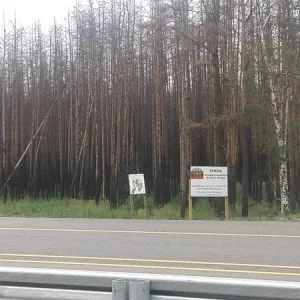 Лесничество Воронежа...
