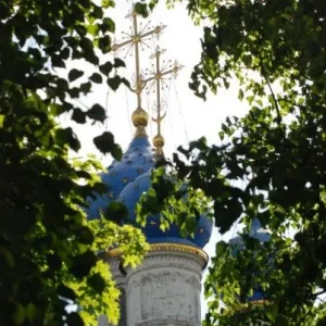 1 077копия