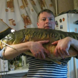 Ночная, март 2012