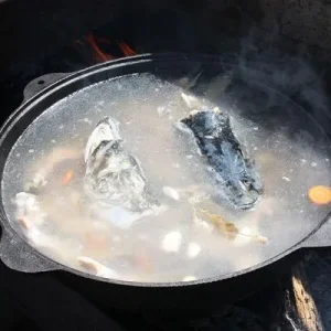 ушица