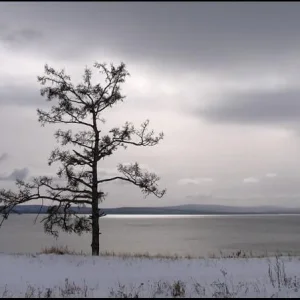 оз.Арахлей