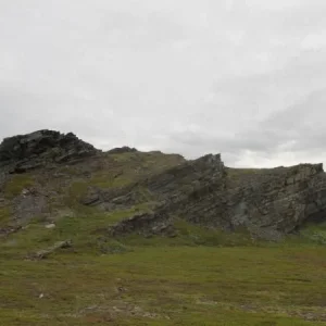 IMG 4614