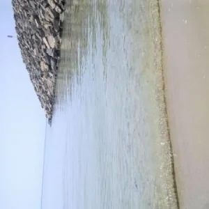DAMBA
