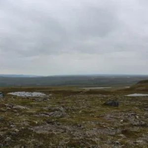 IMG 3950 700x467