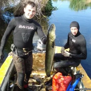 Змееголов
