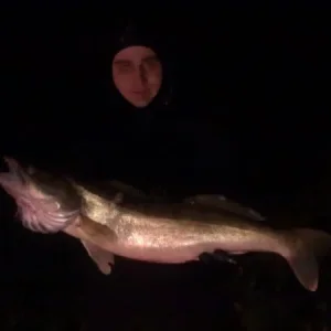 тот же на7