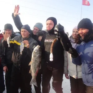 Толстый лобик