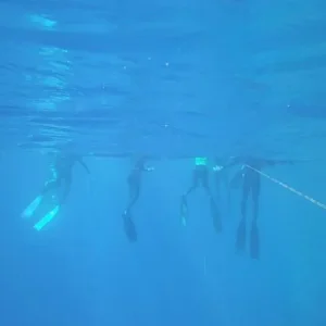 Ноги в ластах.