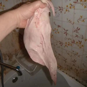 DSCF4099 налимья печень