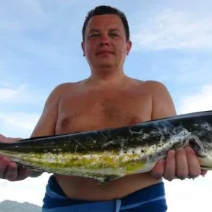 Mahi-mahi