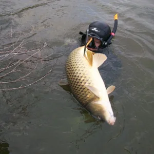 1 (19)